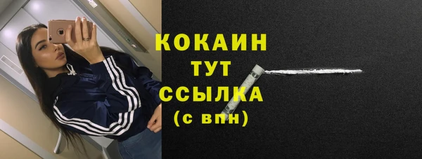 a pvp Аркадак