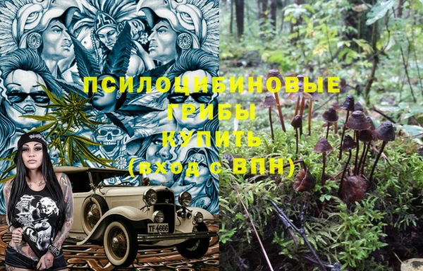 mdpv Новодвинск