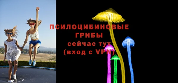 a pvp Аркадак