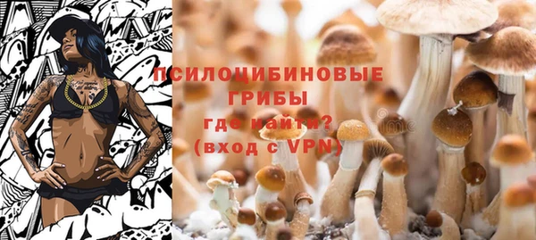соль ск Алзамай
