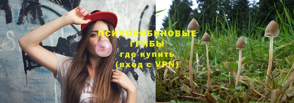 ECSTASY Алексин