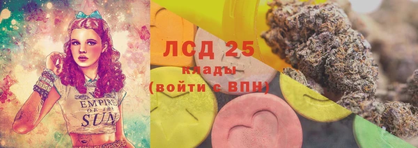 PSILOCYBIN Армянск